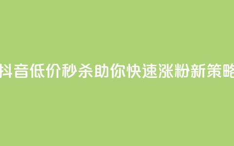 抖音低价秒杀，助你快速涨粉新策略！  第1张