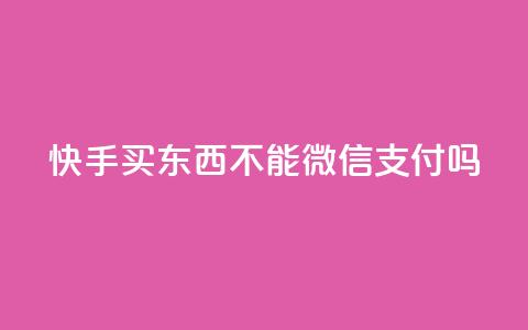 快手买东西不能微信支付吗,qq钻业务网 - 抖音千粉多吗 快手粉丝四万能赚多少钱啊  第1张