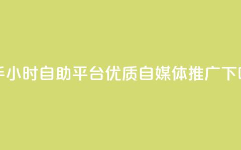 快手24小时自助平台——优质自媒体推广 第1张 快手24小时自助平台——优质自媒体推广 第1张