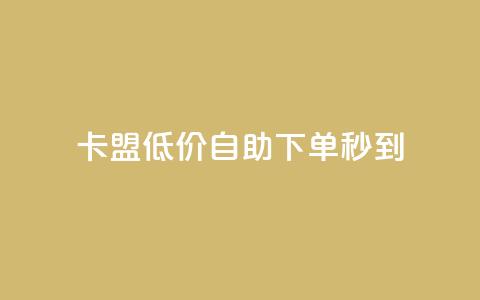 卡盟低价自助下单秒到 - 卡盟自助下单快速到账！  第1张
