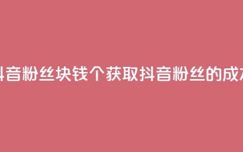 抖音粉丝1块钱10个(获取抖音粉丝的成本) 第1张 抖音粉丝1块钱10个(获取抖音粉丝的成本) 第1张