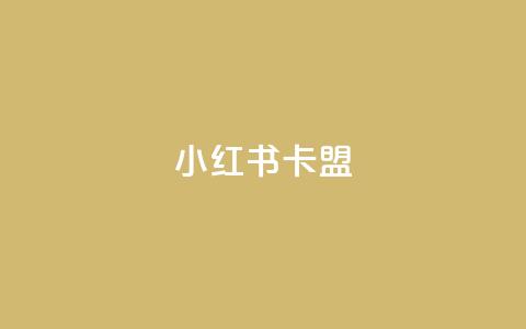 小红书卡盟 - 小红书卡盟:深入解析这一社交电商平台的隐藏商机~ 第1张 小红书卡盟 - 小红书卡盟:深入解析这一社交电商平台的隐藏商机~ 第1张