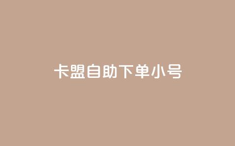 卡盟自助下单dy小号 - 卡盟自助下单小号重要性~  第1张