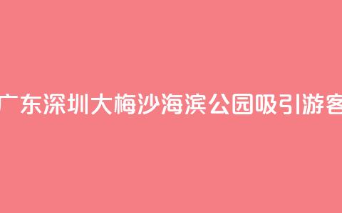 广东深圳：大梅沙海滨公园吸引游客  第1张