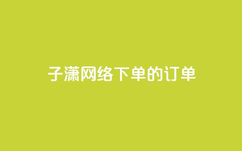 子潇网络下单的订单 - 子潇网络订单服务：简单高效的下单体验!  第1张