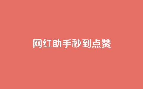 网红助手秒到点赞,dy低价业务平台 - 快手100个粉丝快速获得方法 自助业务商城dy  第1张