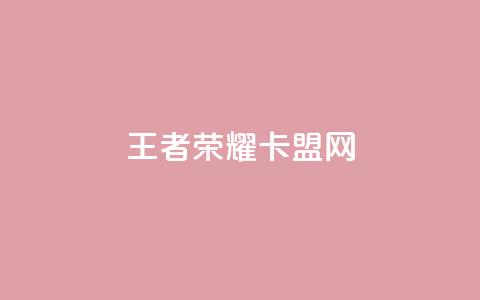 王者荣耀卡盟网 - 最便宜的货源批发网站  第1张