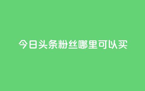 今日头条粉丝哪里可以买 - 今日头条粉丝购买指南~ 第1张 今日头条粉丝哪里可以买 - 今日头条粉丝购买指南~ 第1张
