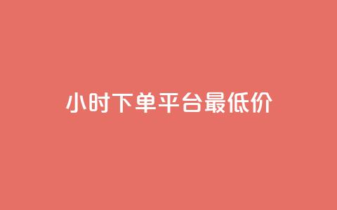 24小时下单平台最低价 - 24小时下单平台，优质商品最低价限时抢购！!  第1张