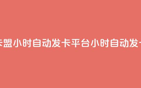 游戏卡盟24小时自动发卡平台(24小时自动发卡平台-游戏卡盟专属)  第1张