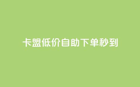 卡盟低价自助下单秒到 - 便捷快速的卡盟自助下单服务!  第1张