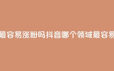 抖音做什么赛道最容易涨粉吗 - 抖音哪个领域最容易吸引粉丝？~  第1张
