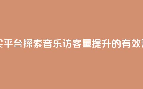 qq音乐访客量购买平台 - 探索QQ音乐访客量提升的有效购买平台。  第1张