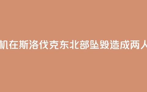 一架小型飞机在斯洛伐克东北部坠毁 造成两人受伤  第1张