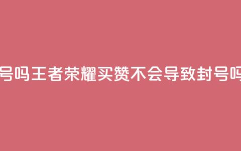 王者荣耀买赞不会封号吗 - 王者荣耀买赞不会导致封号吗?获取真实答案!! 第1张 王者荣耀买赞不会封号吗 - 王者荣耀买赞不会导致封号吗?获取真实答案!! 第1张
