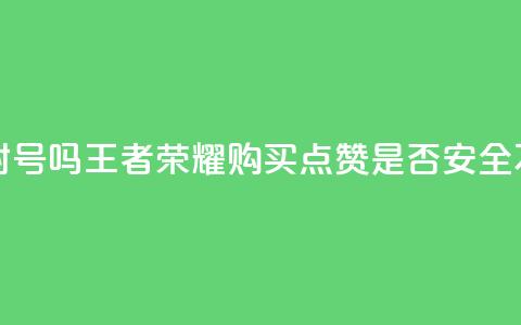 王者荣耀买赞不会封号吗 - 王者荣耀购买点赞是否安全不会被封号吗! 第1张 王者荣耀买赞不会封号吗 - 王者荣耀购买点赞是否安全不会被封号吗! 第1张