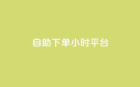 自助下单24小时平台 - 24小时自助下单平台：简便操作，全天候服务!  第1张