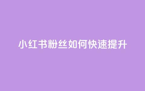 小红书500粉丝如何快速提升？  第1张