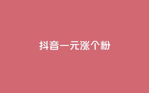 抖音一元涨1个粉 - 抖音粉丝一元增值的秘密揭晓！  第1张