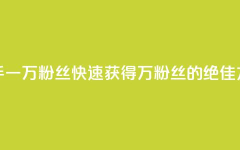 快手一万粉丝(快速获得1万粉丝的绝佳方法) 第1张 快手一万粉丝(快速获得1万粉丝的绝佳方法) 第1张
