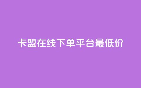 卡盟在线下单平台最低价 - 最低价在线下单平台推荐~  第1张