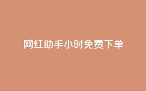 网红助手24小时免费下单 - 玩酷网络自助下单  第1张