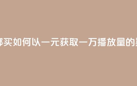 1块钱1w播放量在哪买 - 如何以一元获取一万播放量的渠道揭秘!  第1张
