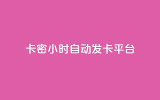 卡密24小时自动发卡平台 - 24小时自动发卡平台优化您的卡密交易体验!