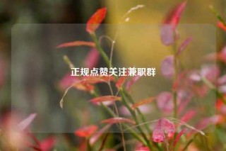 正规点赞关注兼职群