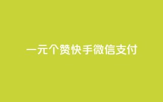 一元10个赞快手微信支付,抖音100充值入口 - 自助下单24小时平台最便宜 - 抖音真人评论