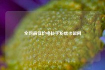 全网最低价格快手粉丝卡盟网