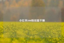 小红书1000粉丝能干嘛