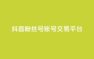 抖音粉丝号账号交易平台 - 抖音账户买卖平台全面分析与指南!