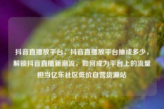 抖音直播放平台，抖音直播放平台抽成多少，解锁抖音直播新潮流，如何成为平台上的流量担当亿乐社区低价自营货源站