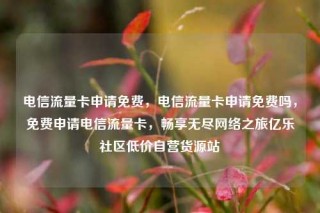 电信流量卡申请免费，电信流量卡申请免费吗，免费申请电信流量卡，畅享无尽网络之旅亿乐社区低价自营货源站