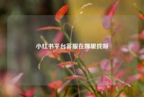 小红书平台客服在哪里找呀
