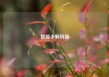 智能卡解码器