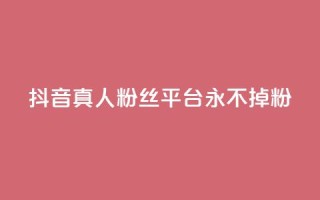 抖音真人粉丝平台 永不掉粉 - 抖音粉丝平台：畅享稳定粉丝，永远不失粉！~
