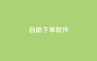 dy自助下单软件,王者荣耀低价卡盟 - qq空间访客量网址 - ks业务免费下单平台最便宜