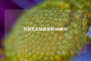 抖音怎么快速涨到1000粉丝