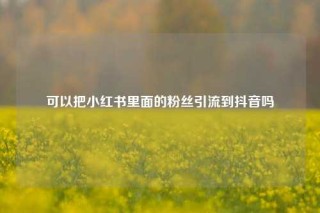 可以把小红书里面的粉丝引流到抖音吗