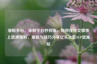 涨粉平台，涨粉平台秒到账，如何在社交媒体上迅速涨粉，策略与技巧分享亿乐社区SUP货源站