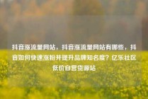 抖音涨流量网站，抖音涨流量网站有哪些，抖音如何快速涨粉并提升品牌知名度？亿乐社区低价自营货源站