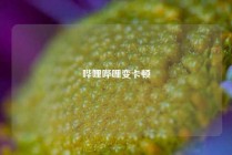 哔哩哔哩变卡顿