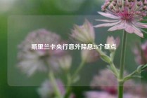 斯里兰卡央行意外降息25个基点