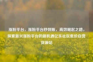 涨粉平台，涨粉平台秒到账，高效崛起之路，探索新兴涨粉平台的新机遇亿乐社区低价自营货源站