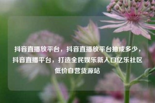 抖音直播放平台，抖音直播放平台抽成多少，抖音直播平台，打造全民娱乐新入口亿乐社区低价自营货源站