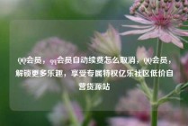 QQ会员，qq会员自动续费怎么取消，QQ会员，解锁更多乐趣，享受专属特权亿乐社区低价自营货源站