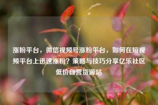 涨粉平台，微信视频号涨粉平台，如何在短视频平台上迅速涨粉？策略与技巧分享亿乐社区低价自营货源站