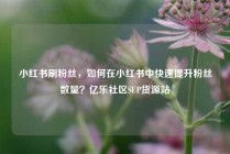 小红书刷粉丝，如何在小红书中快速提升粉丝数量？亿乐社区SUP货源站